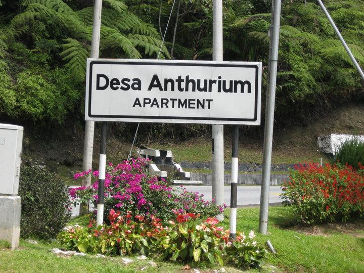 Sa Apartments @ Desa Anthurium Cameron Highlands Dış mekan fotoğraf